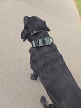 Load image into Gallery viewer, M1-K9 Patriot Collar.  Adjustable 22"-32"