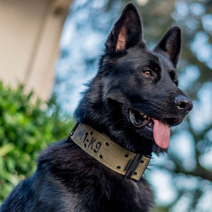 M1-K9 Collar, AustriAlpin Cobra Buckle, Utility Pouch, *No Leash